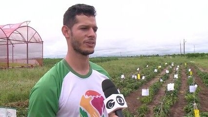 Tarifaço ameaça exportação de frutas brasileiras