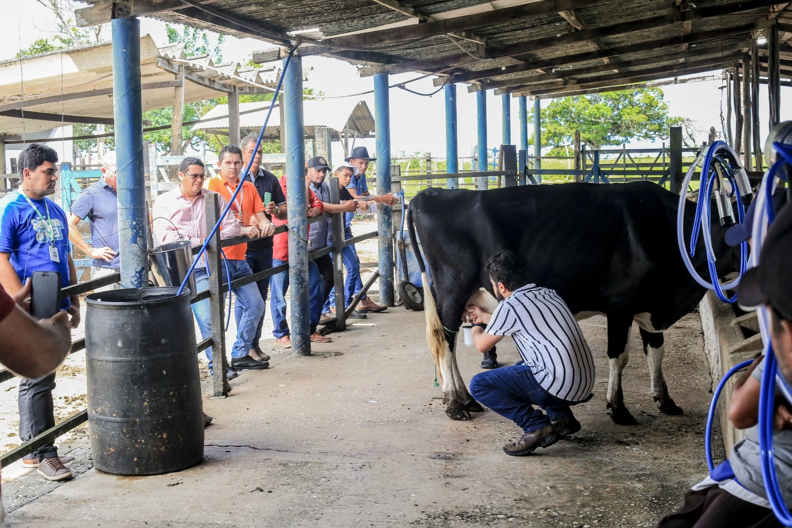 Desenvolvimento Territorial e incentivo à pecuária em Penedo