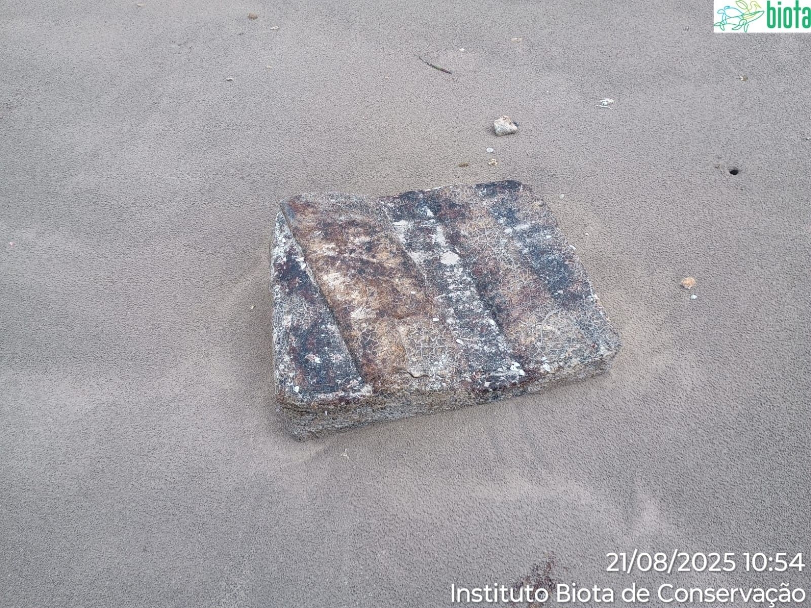 Fardos de borracha reaparecem nas praias de Alagoas