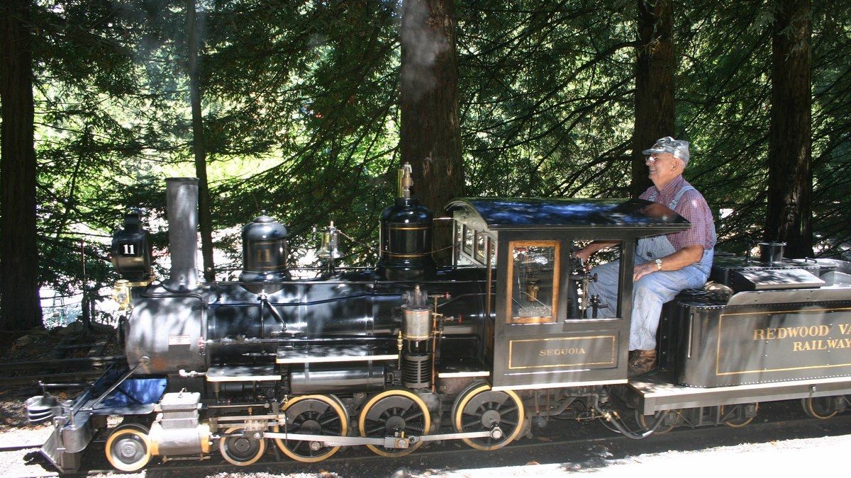 Mini maria-fumaça encanta famílias na Califórnia