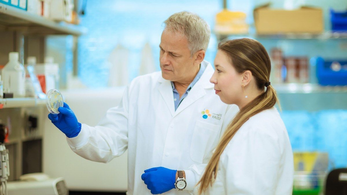 Novas bactérias descobertas em sala limpa da NASA