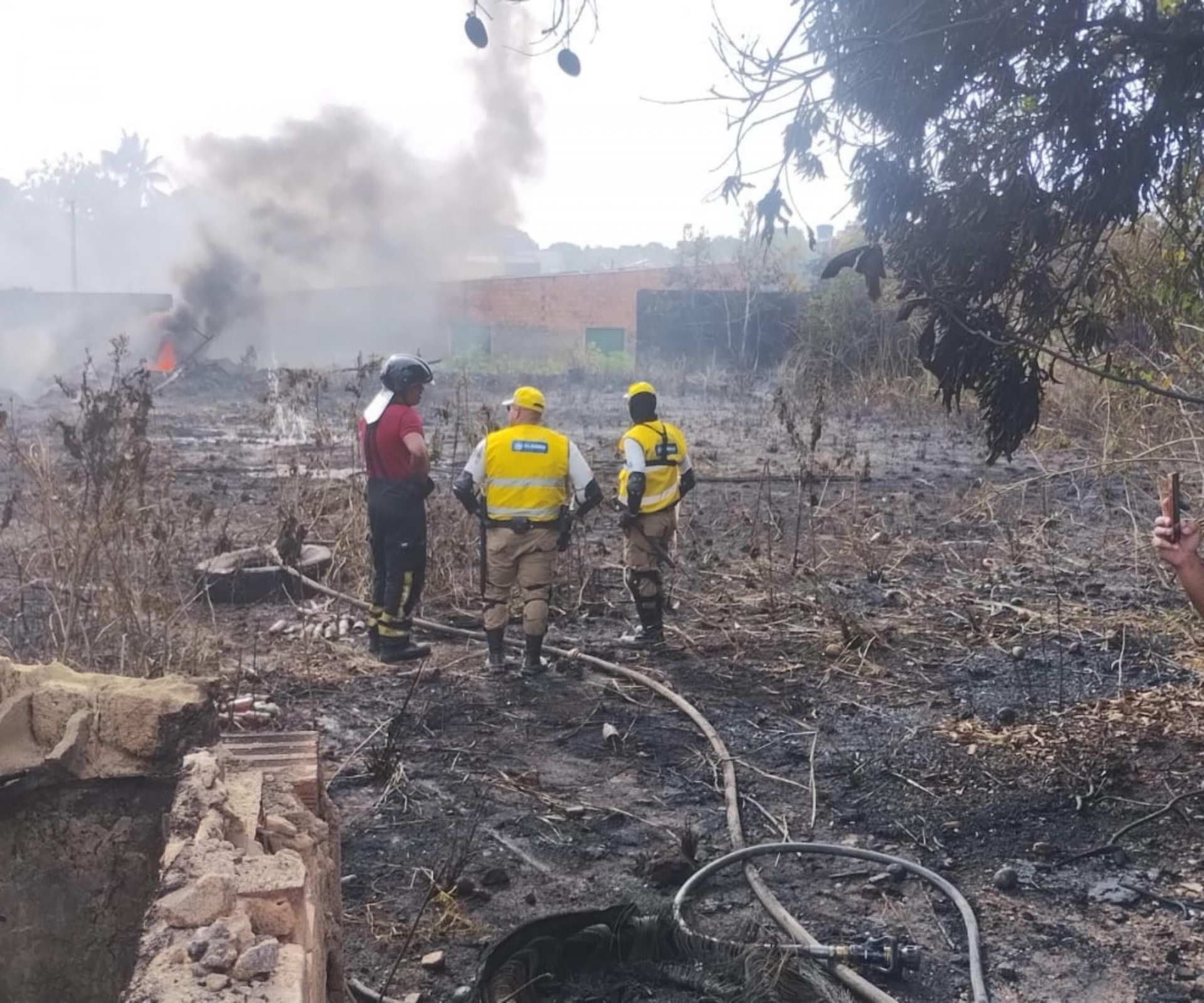 Incêndio em Rio Largo devasta área verde de chácara