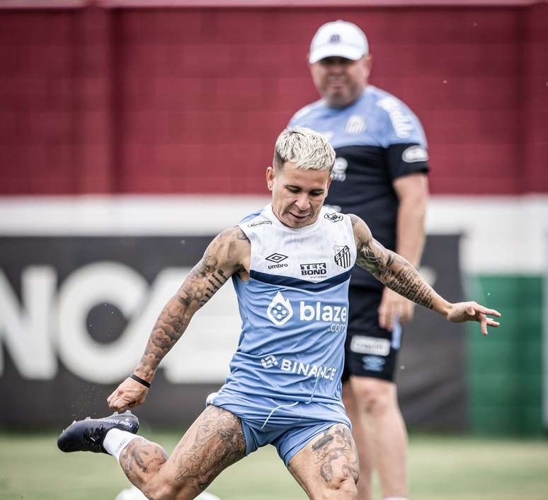 Na fuga contra o rebaixamento, Santos visita o Botafogo