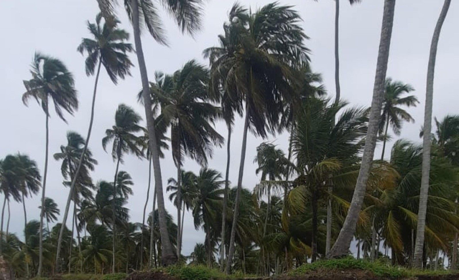 Alagoas terá ventos de até 70km/h nos próximos dias