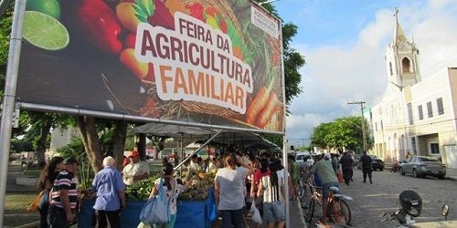 Você sabia que a agricultura familiar emprega mais que o agro?