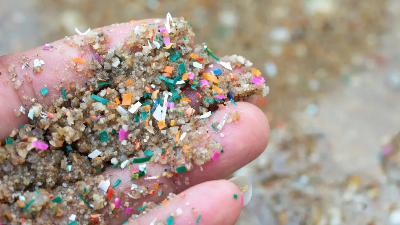 Desigualdade e Microplásticos: Desafios no Rio dos Bugres