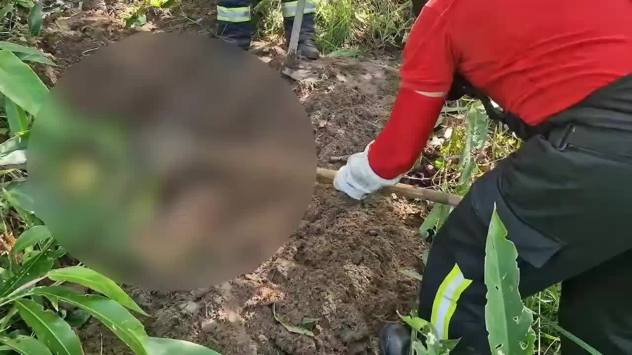 Facções podem estar ligadas a desaparecimentos no Litoral Norte