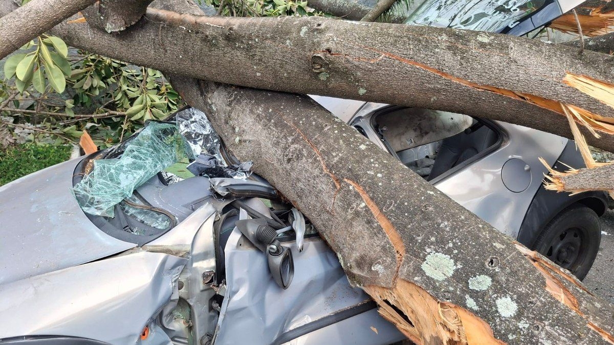 Alagamentos e quedas de árvores em São Paulo