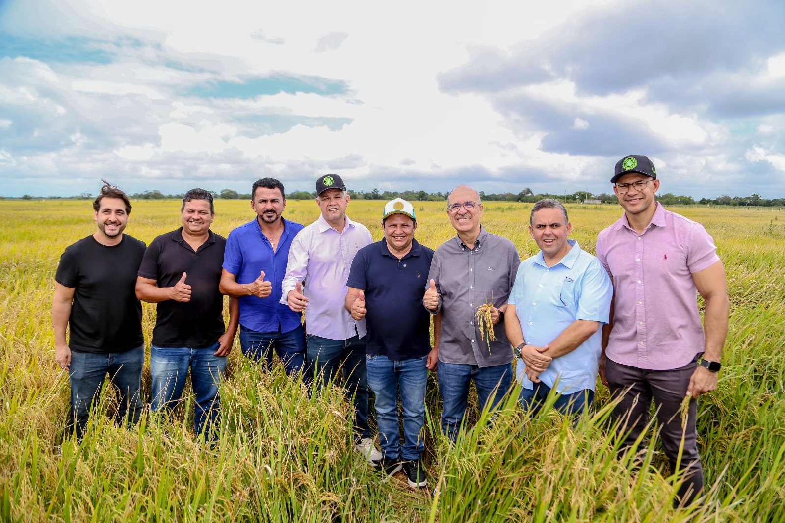 Plantio de arroz impulsiona economia na zona rural de Penedo