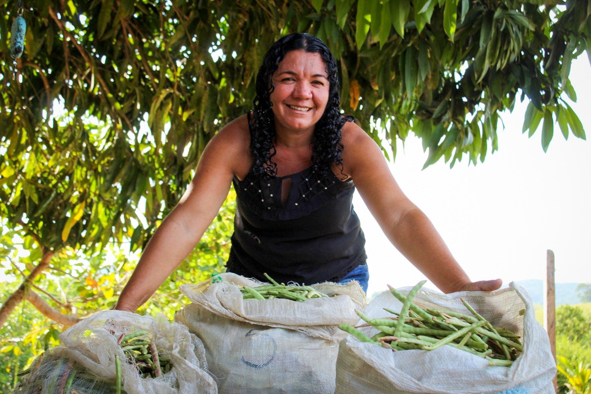 Governo de Alagoas oferece bolsas para ações rurais