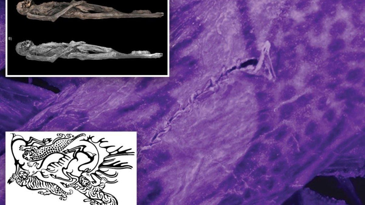 Arte surpreendente das tatuagens de múmia de 2.500 anos