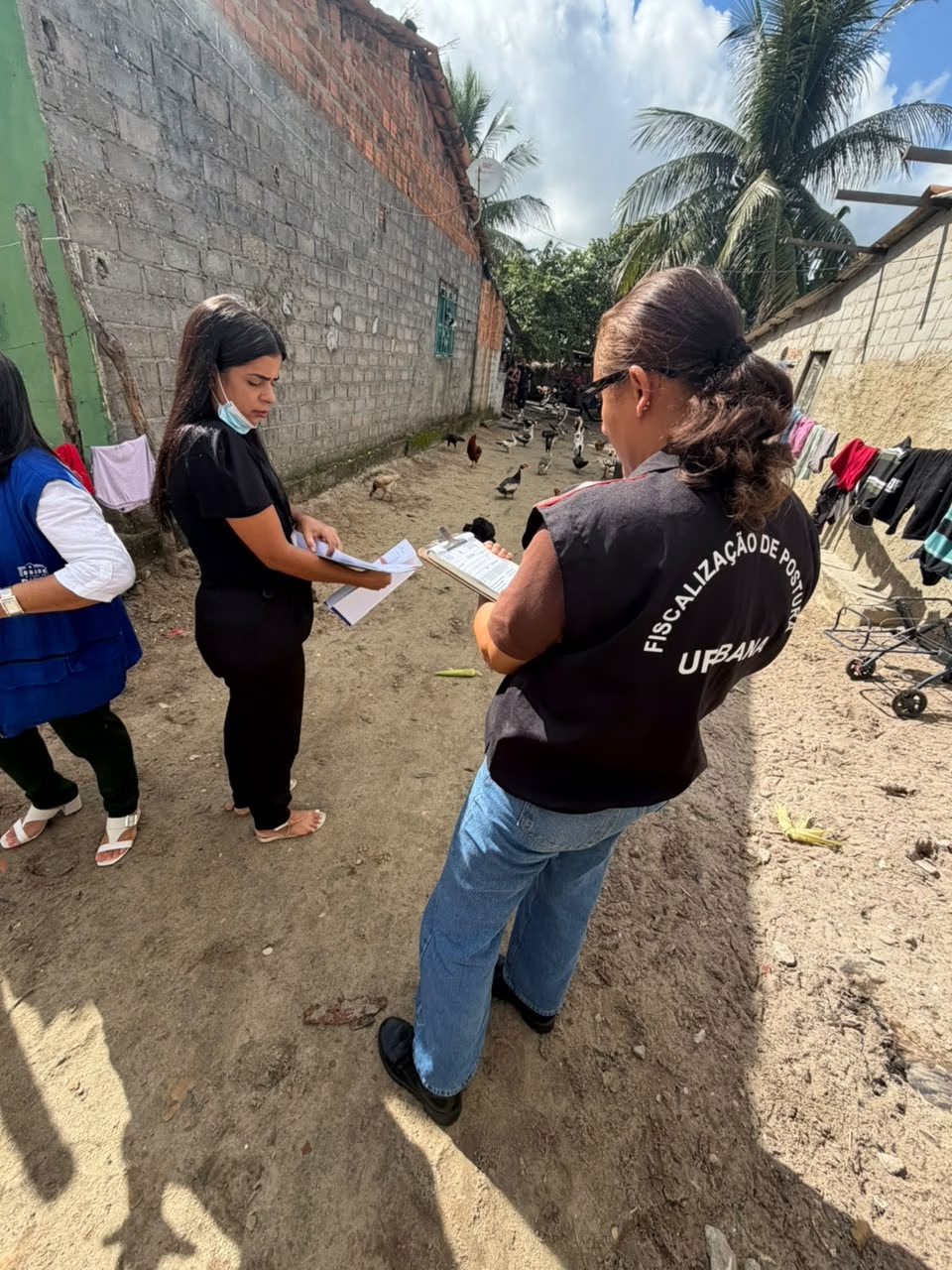 Fiscalização da Prefeitura de Penedo combate porcos irregulares