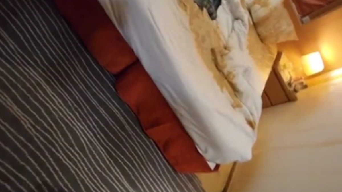 Turistas ficam presos em cruzeiro após alerta de tsunami