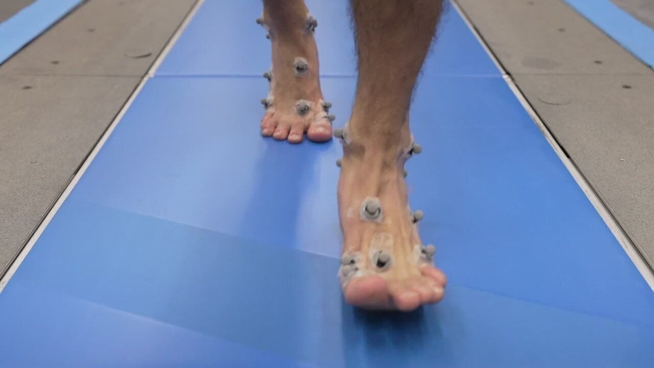 Atletas se reúnem para 8ª edição do Circuito Permanente