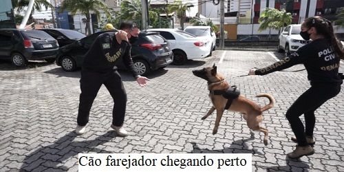 Emissora de JHC acolhe agiota e traficante de palavras — e o chama de “comentarista”