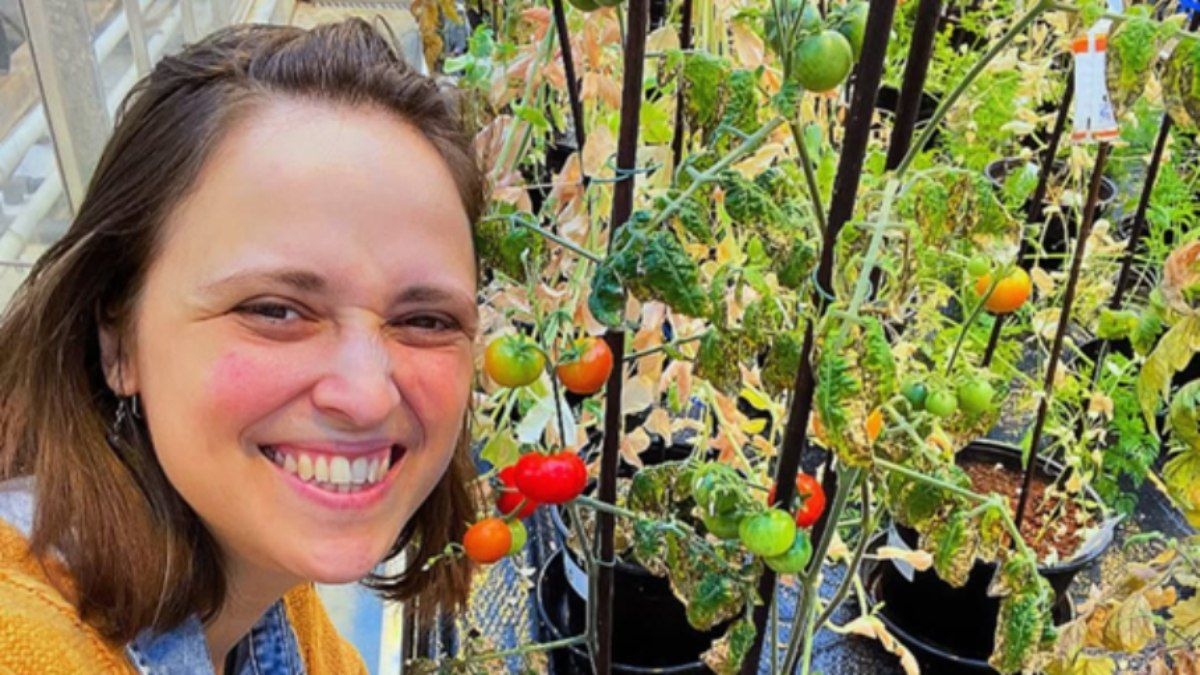 Técnica Maia Revoluciona Cultivo em Solo Marciano