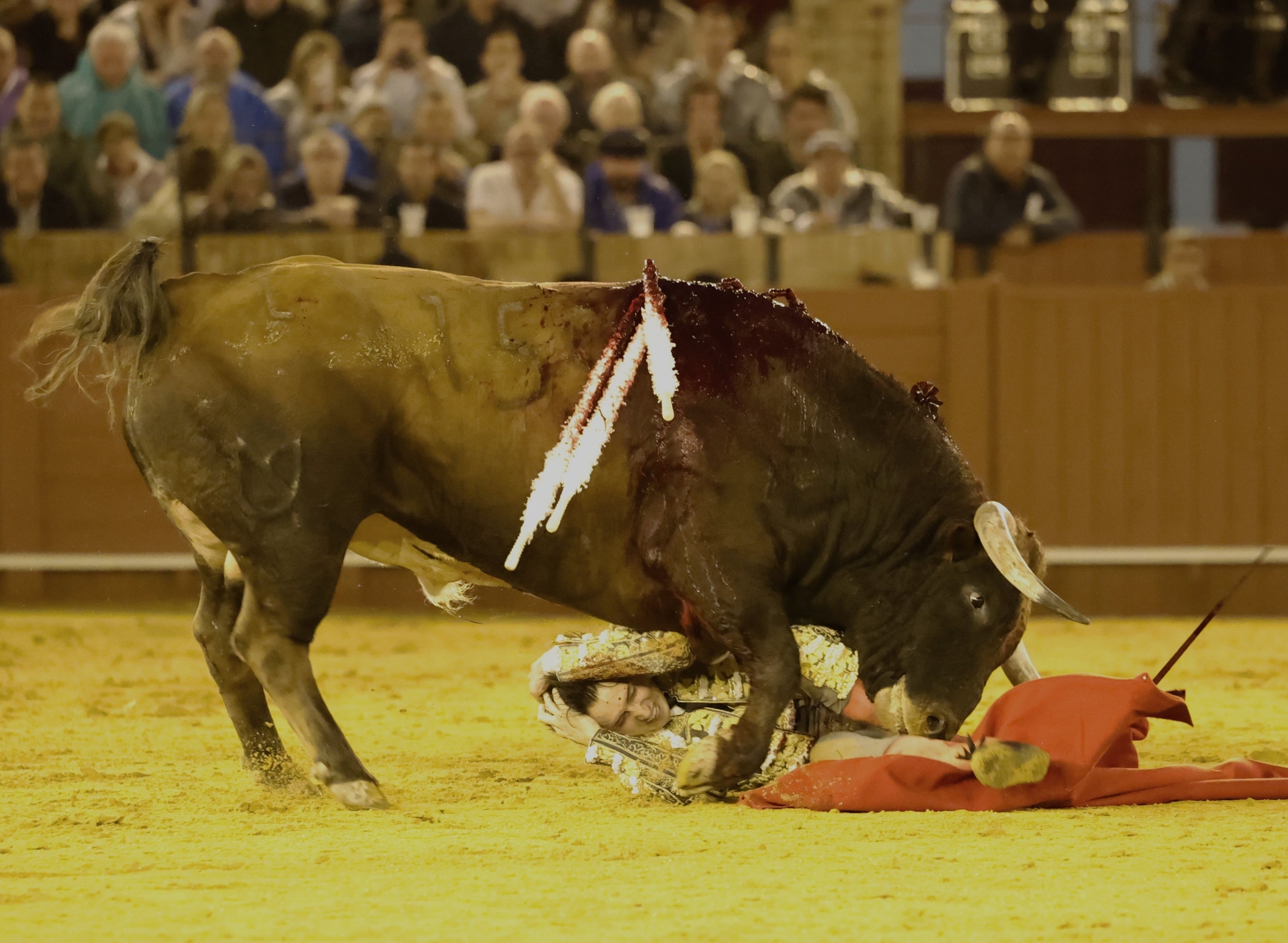 Roca Rey encerra temporada para se recuperar de lesões