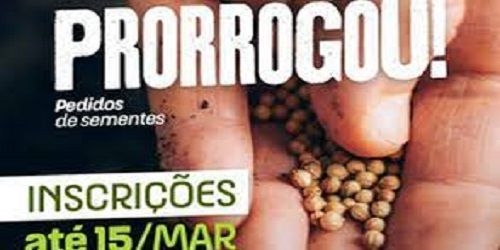 Inscrição para receber sementes gratuitas do Planta Alagoas é prorrogada até sexta, 15