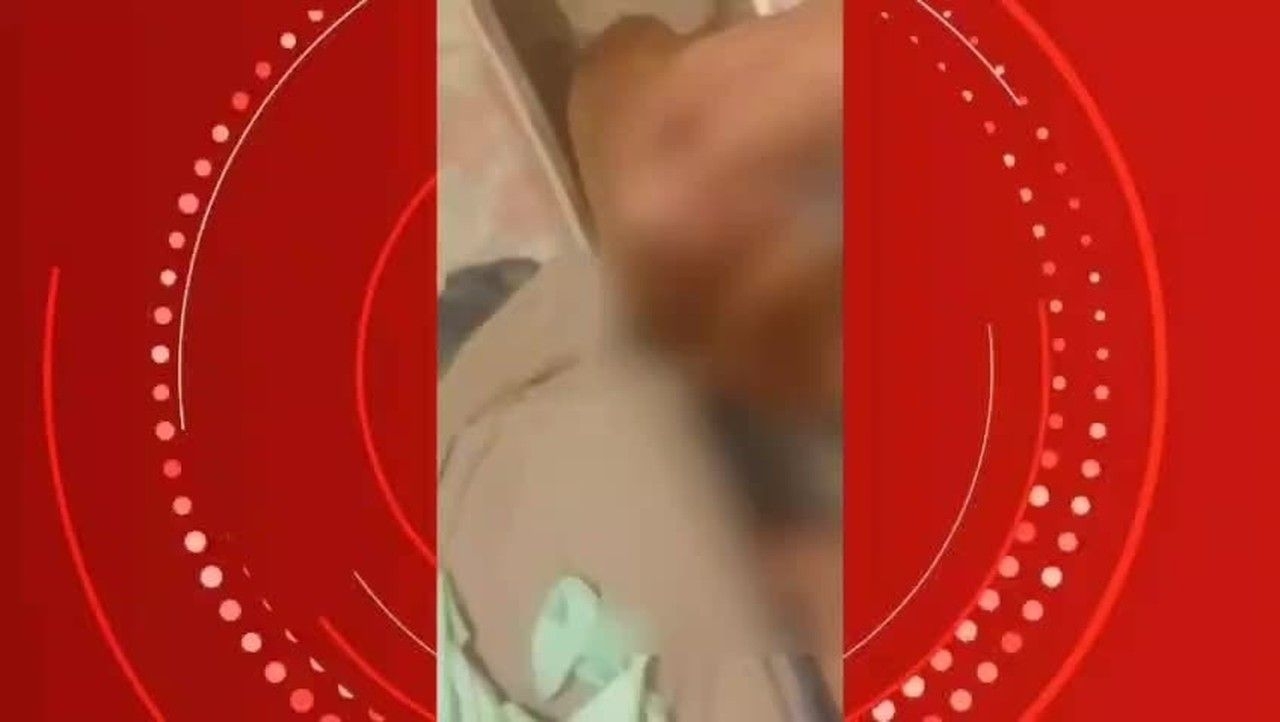 Homem preso por zoofilia após vídeo com cadelas em AL