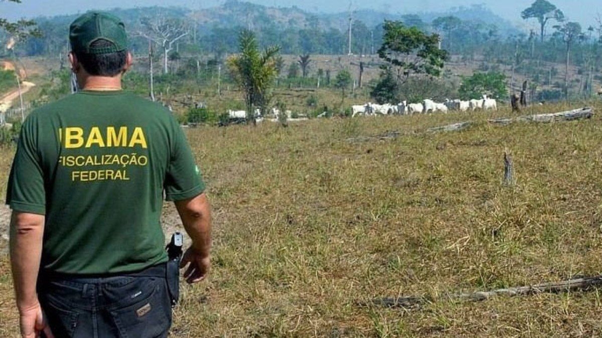 Inscrições para concurso do Ibama e Incra abrem hoje