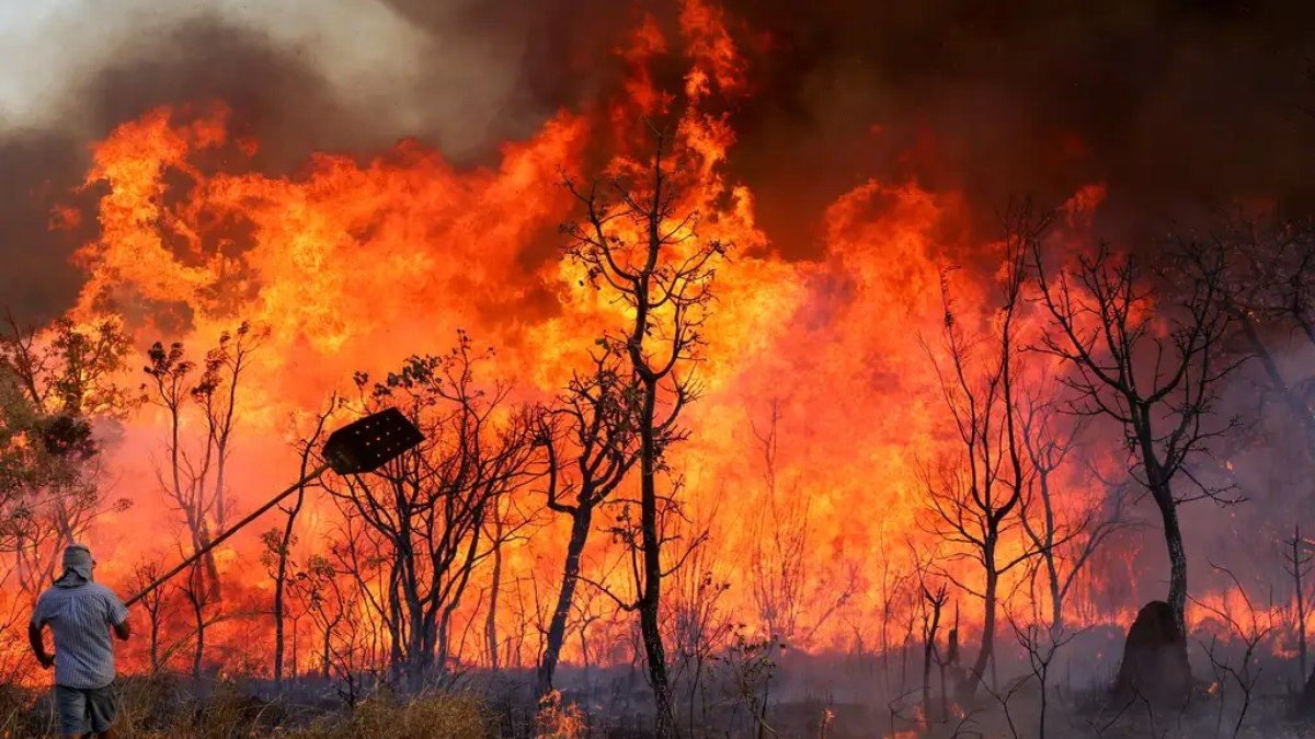 Brasil em alerta para queimadas devido ao tempo seco