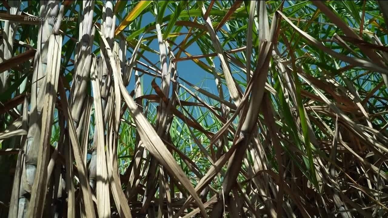 Justiça Condena Réus em Tribunal do Crime em Rio Largo