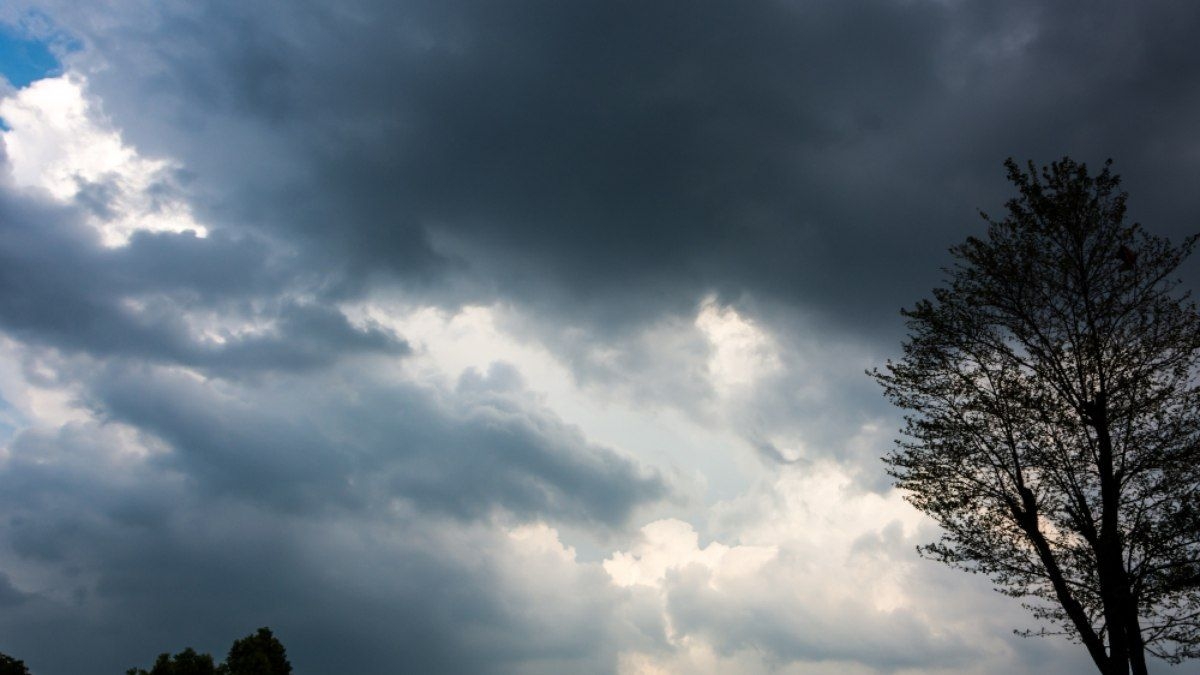 Defesa Civil de SP emite alerta para frio severo