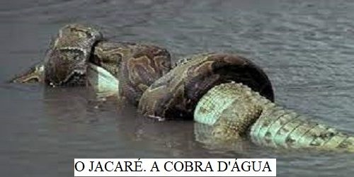 Quando a harmonia política vida Harmonia do Samba? Na união dos contras