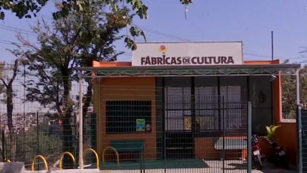 Mulheres jovens impulsionam diversidade literária nas bibliotecas de SP