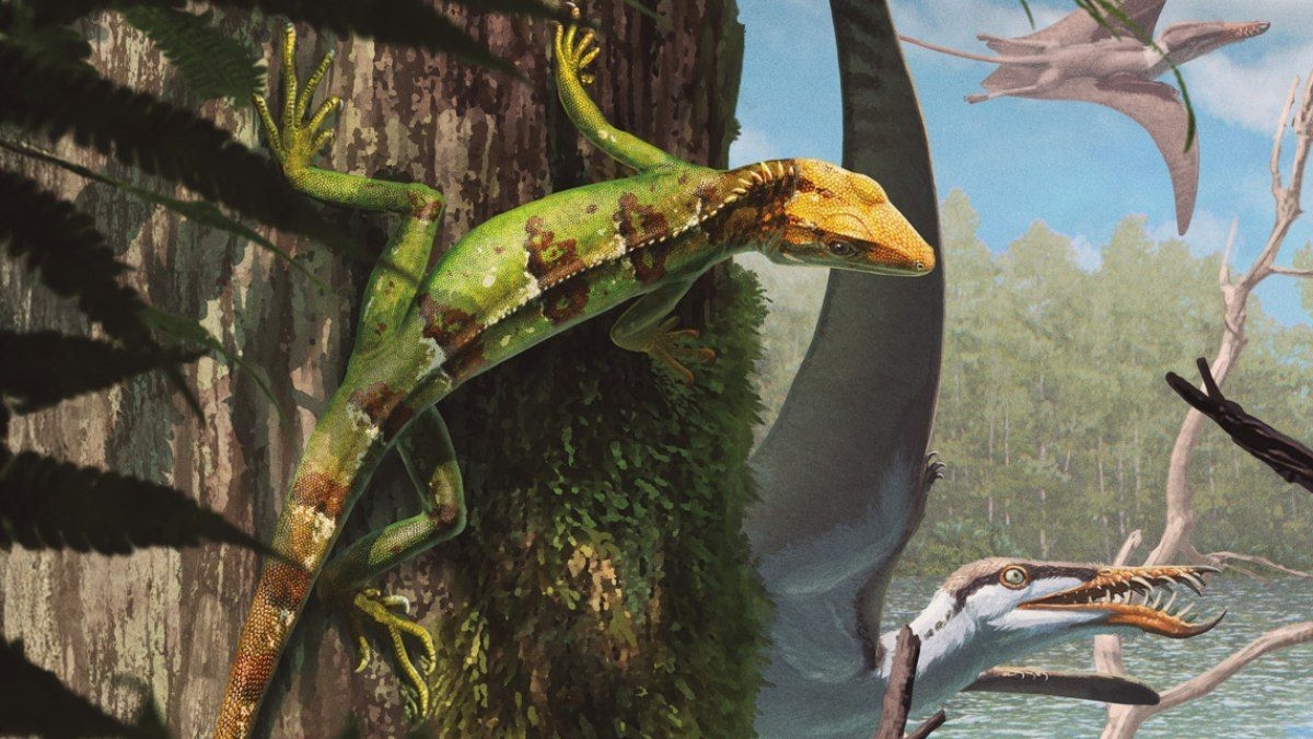 Descoberta revela nova espécie de réptil jurássico