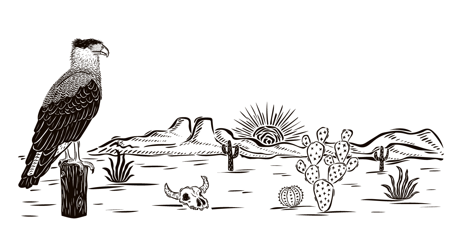 Onde Assistir Guerreiros do Sol A Novela Imperdível