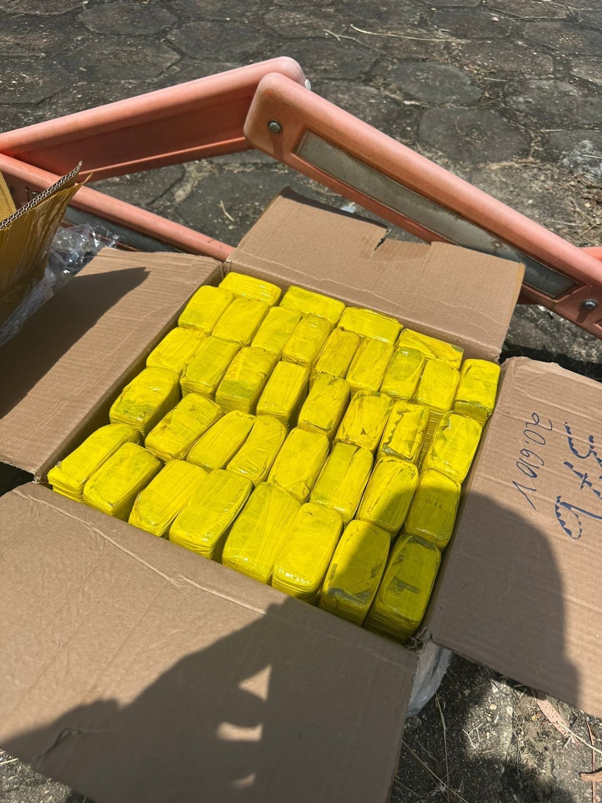 Polícia apreende 30 caixas de maconha no Agreste de AL