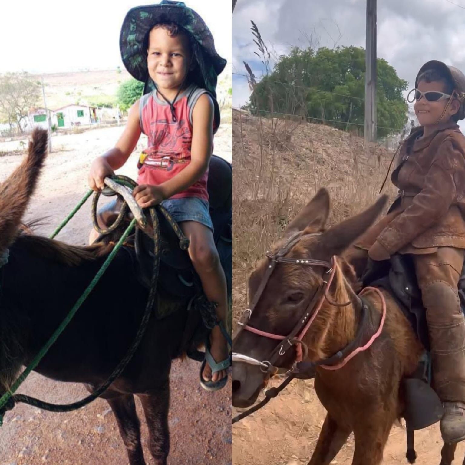 A história de Gutinho Rocha, o menino que doma animais