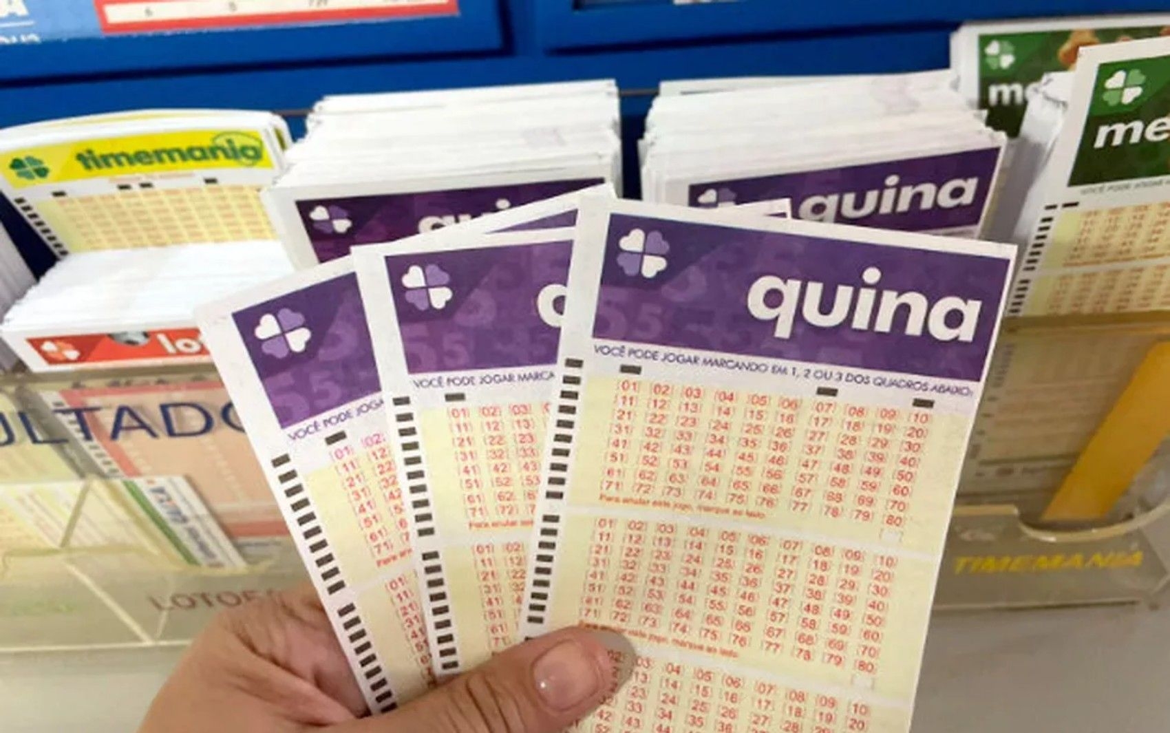 Resultados do concurso 7036 da Quina e prêmios