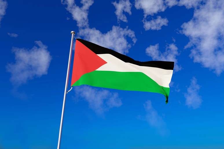 Por que a Palestina não é um país; resumo