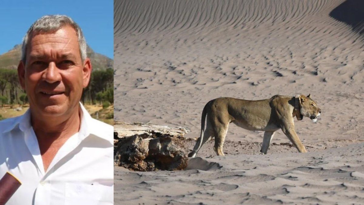 Filantropo é atacado e morto por leão na Namíbia