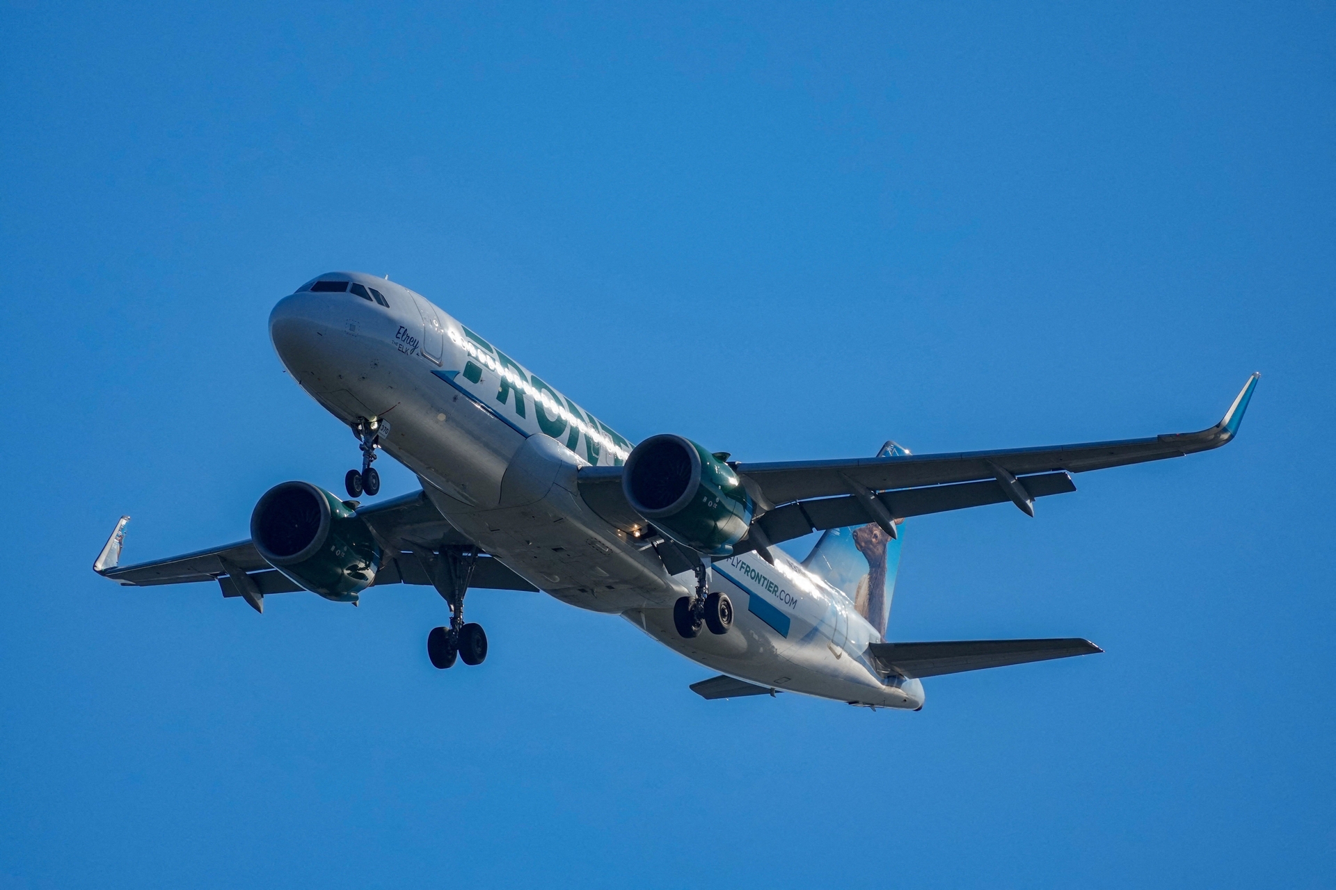 Avião atropela pedestre e voo é cancelado em Denver