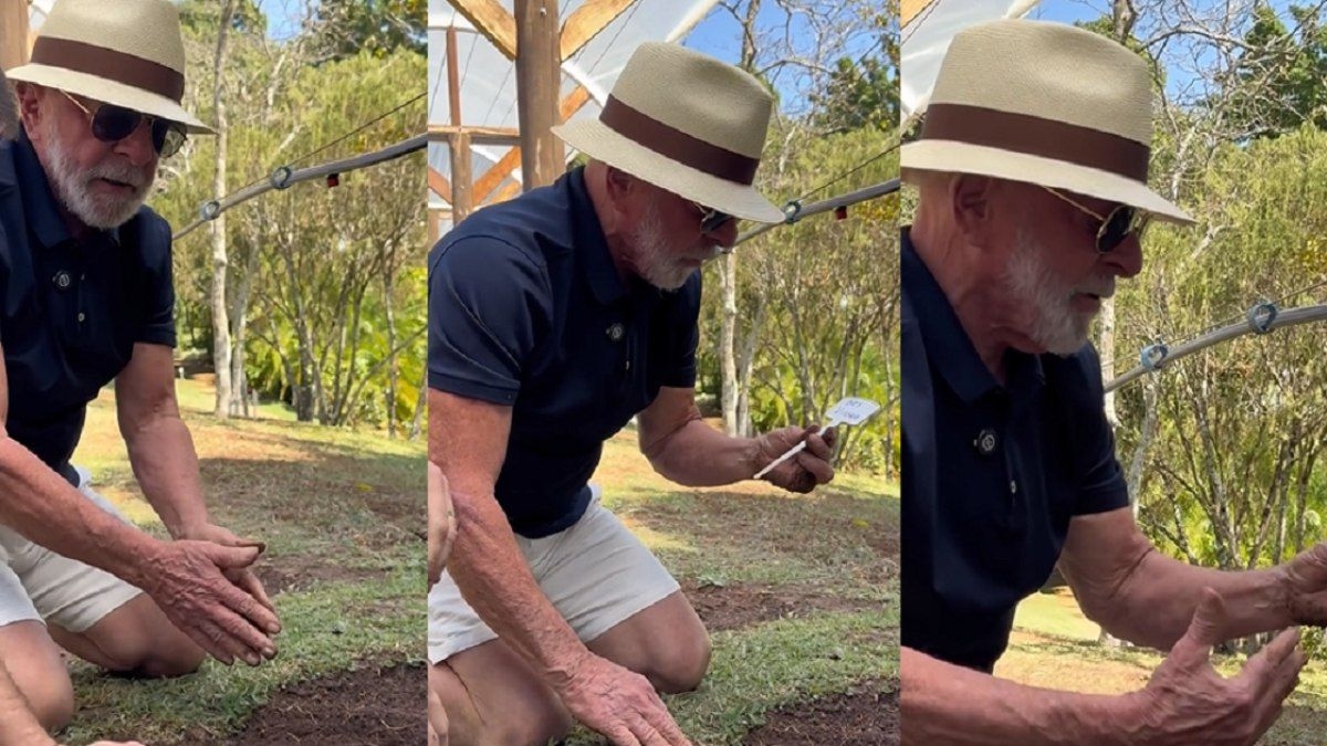 Lula planta uva e destaca paz em resposta a Trump