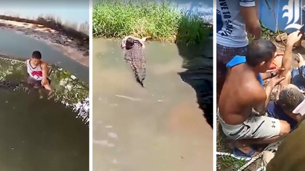Turista confunde crocodilo com estátua e é atacado