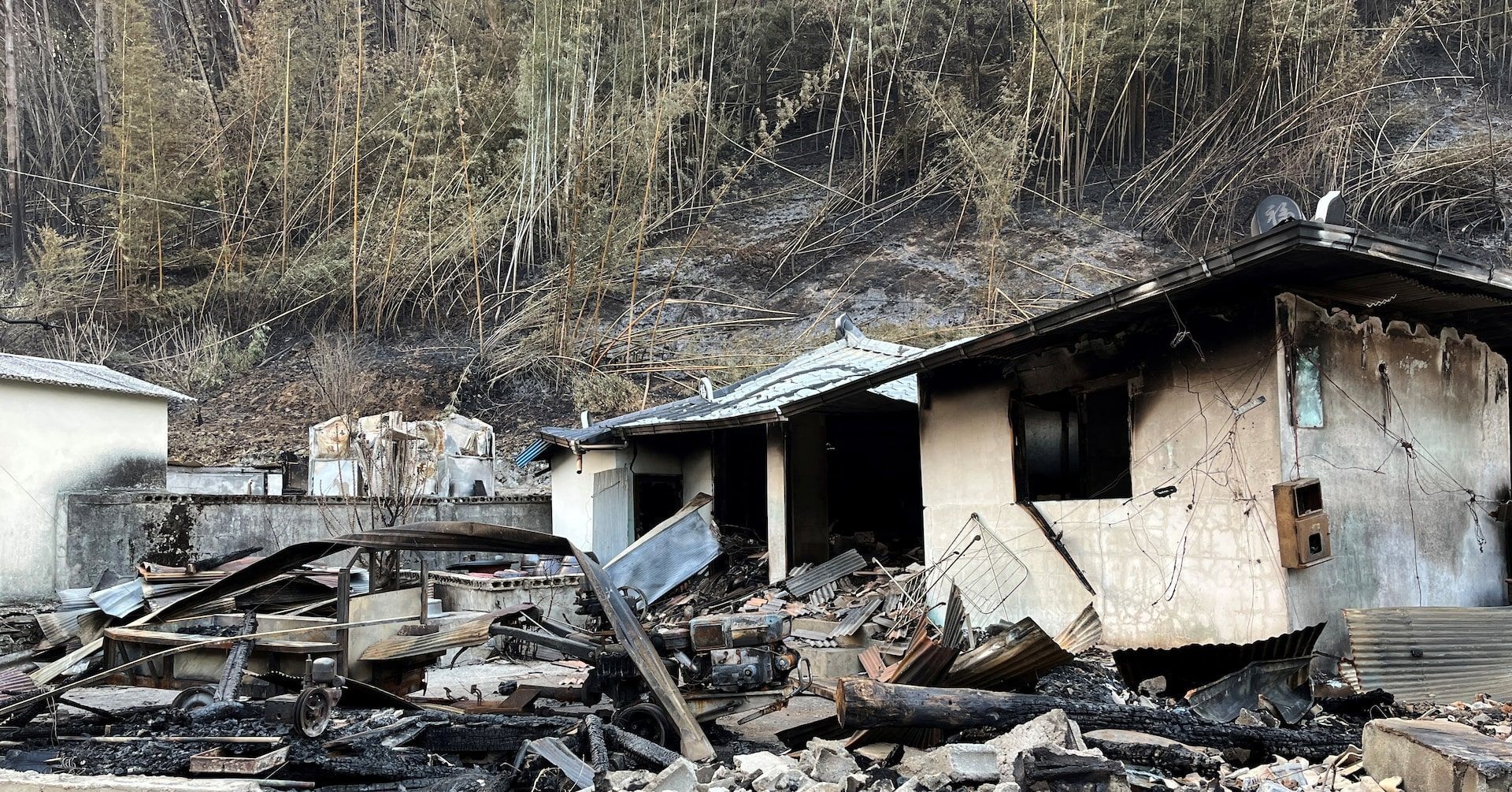 Incêndios Florestais Devastam a Coreia do Sul