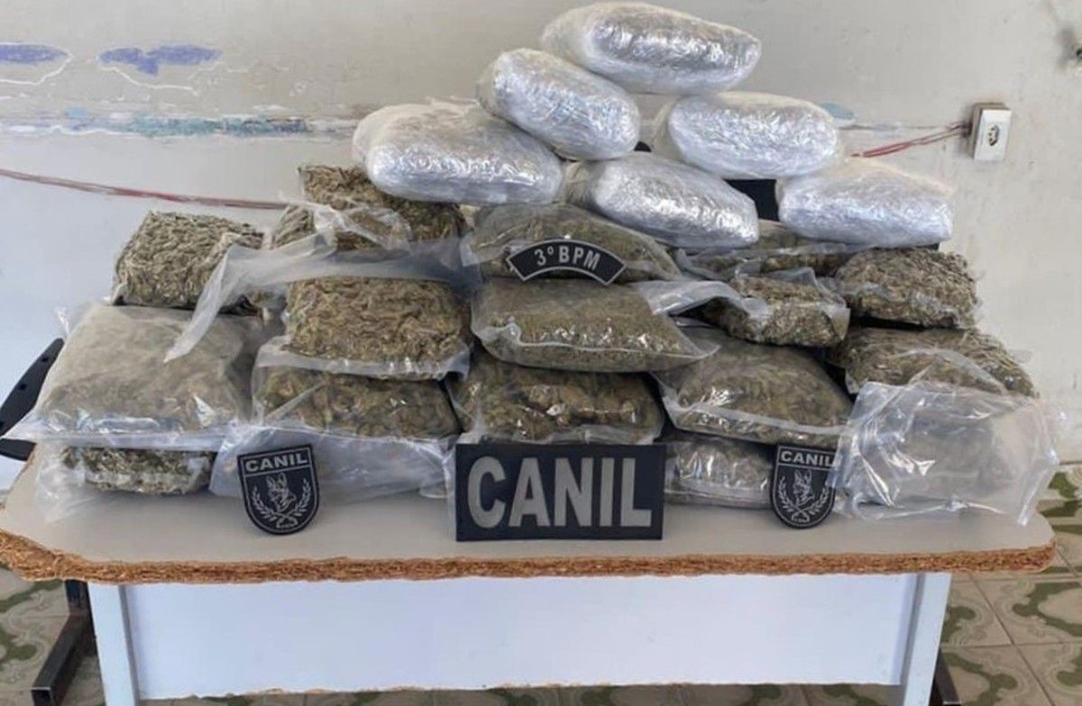 Apreensão de maconha supera 10 kg em ônibus na AL-110