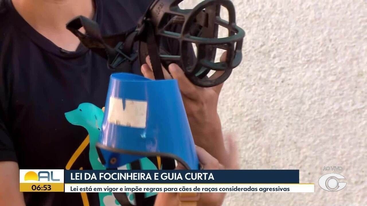 Câmara de Maceió aprova uso de focinheira para cães grandes