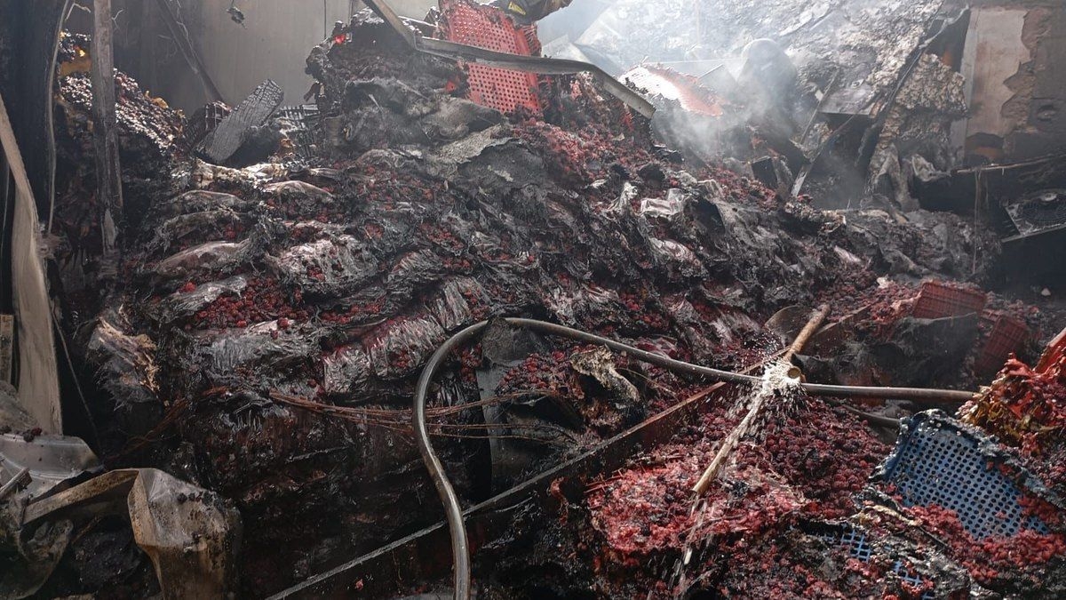 Incêndio causa prejuízo de R$ 1 milhão a produtores