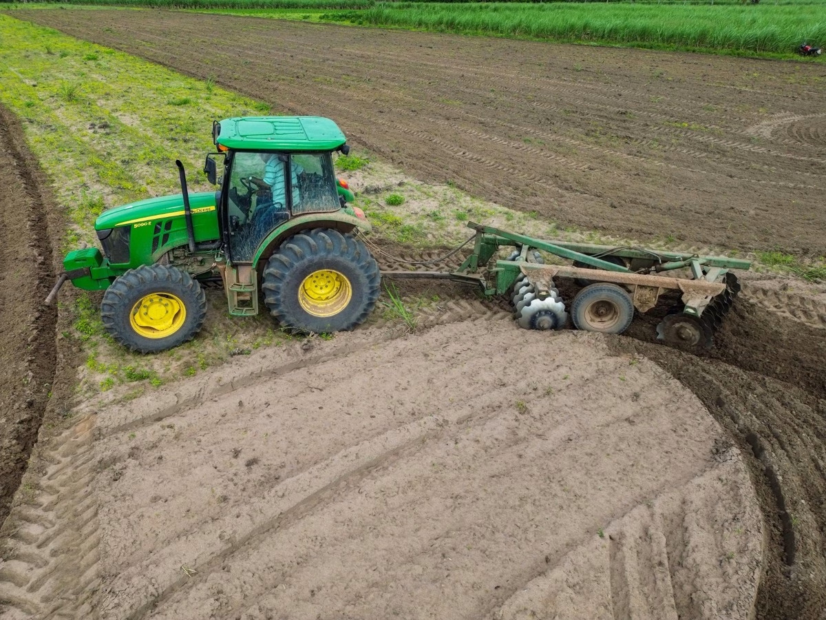 Penedo capacita mais de 60 agricultores em curso gratuito