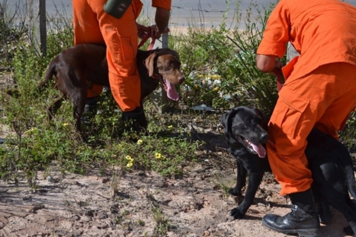Bombeiros buscam adolescente desaparecida na Garça Torta