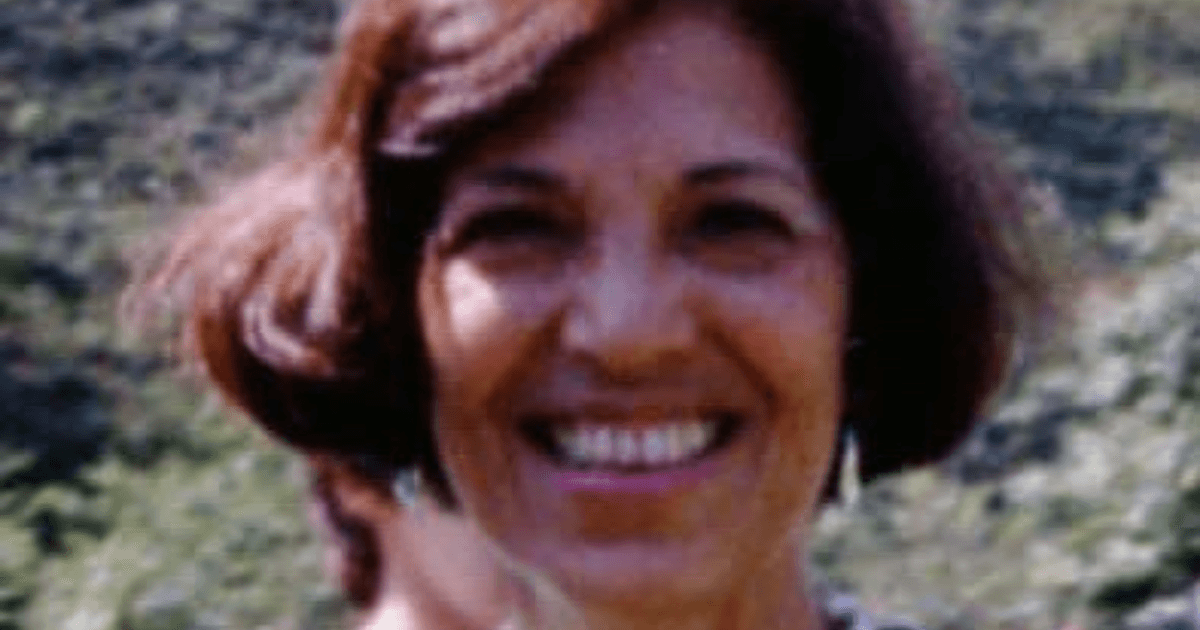 Projeto de lei propõe renomear Rodovia Castelo Branco para Eunice Paiva