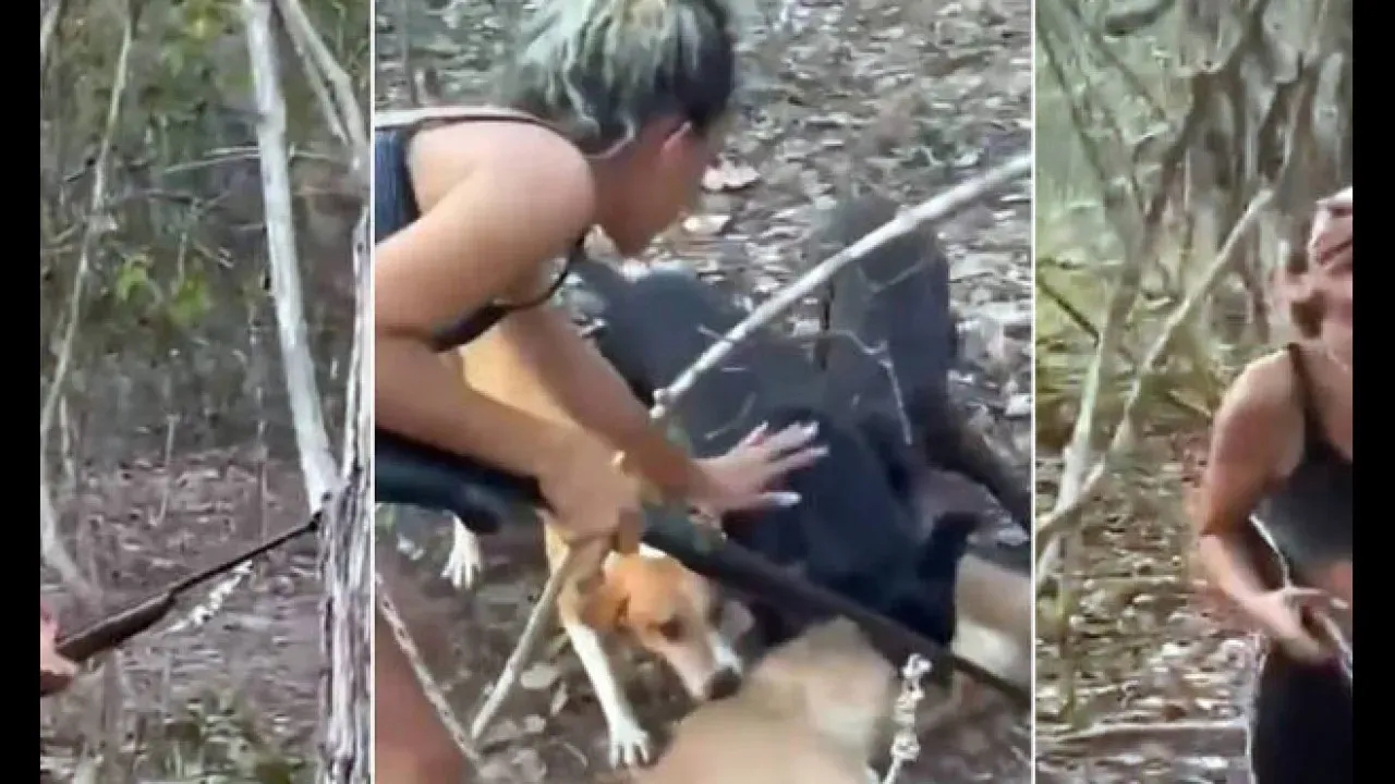 RJ tem mulher multada por matar onça-parda no Piauí