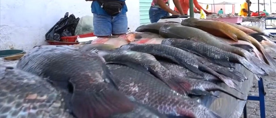 Orientações sobre a compra de peixe na Semana Santa