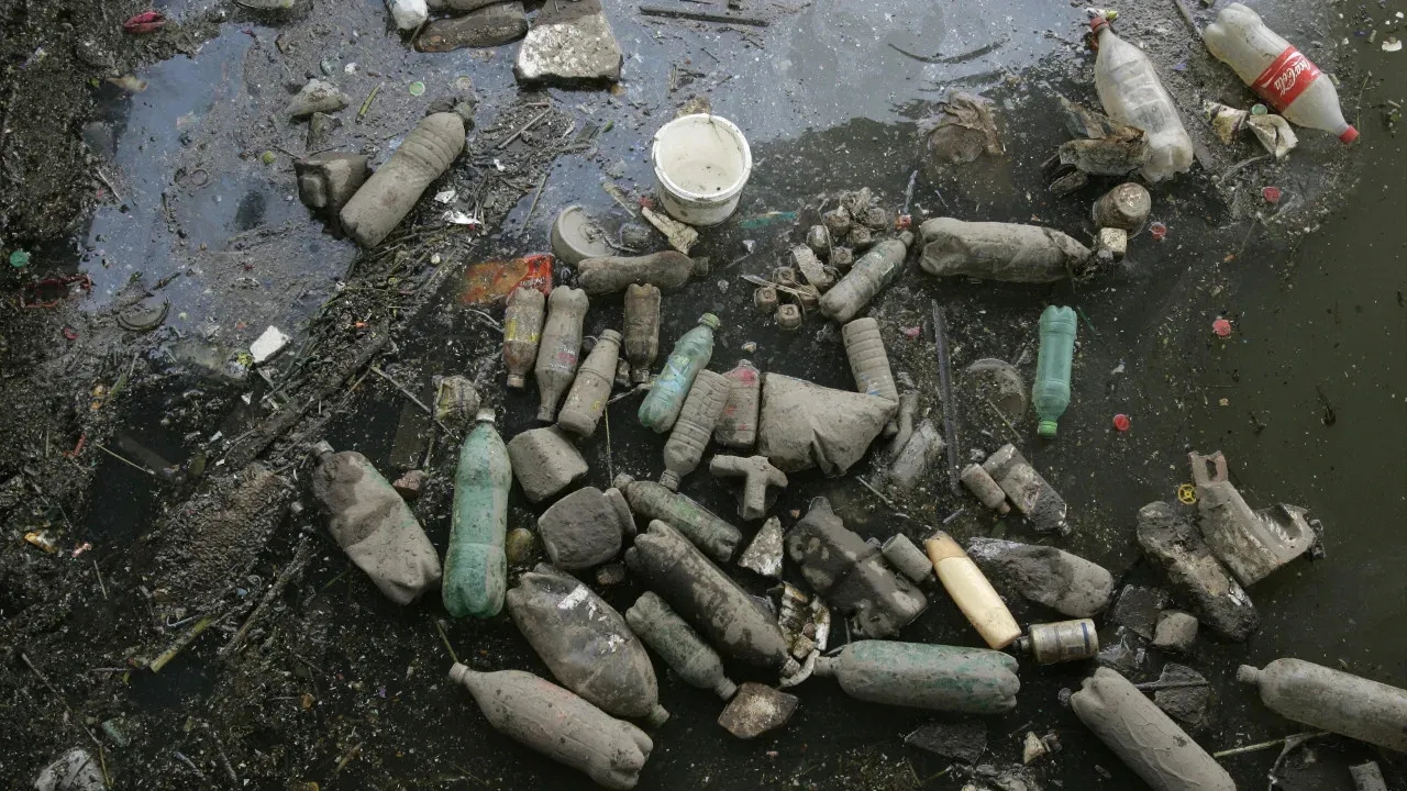 São Paulo despeja 6 caminhões de lixo por dia no rio