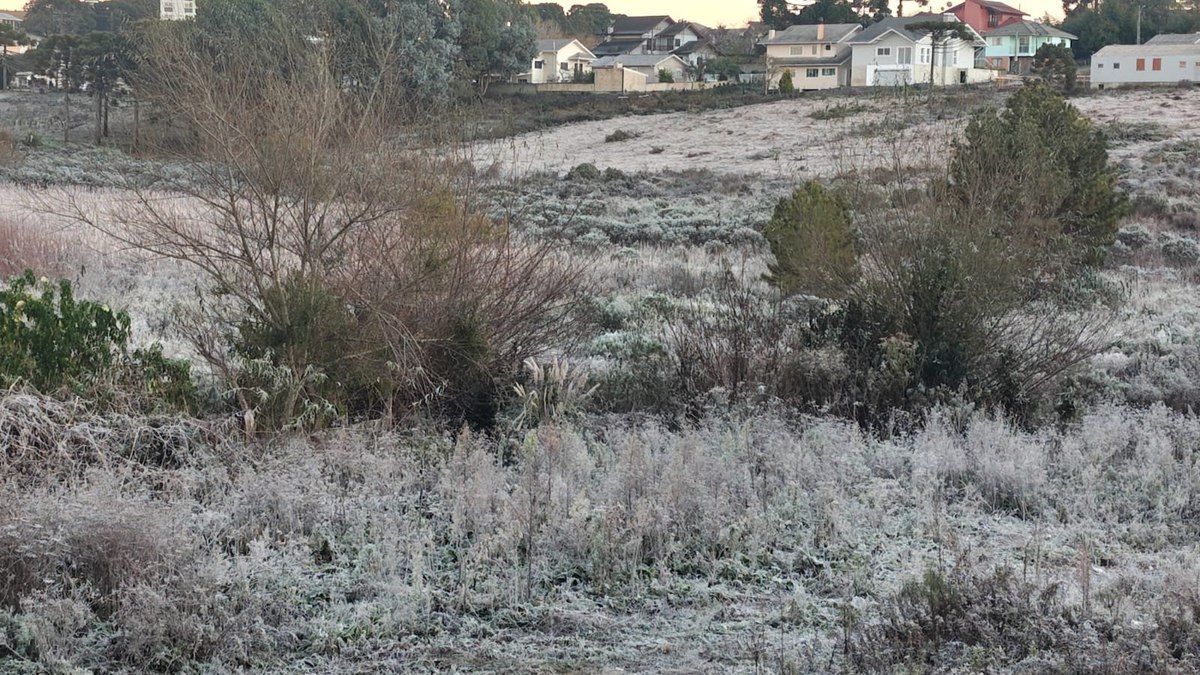 Defesa Civil de SP alerta sobre geadas na Mantiqueira